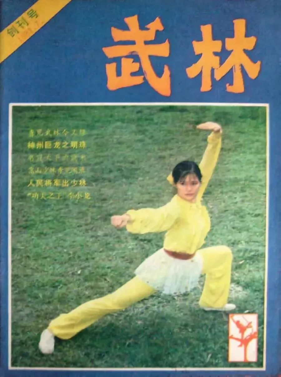 回乡必备100本杂志,8本必读书