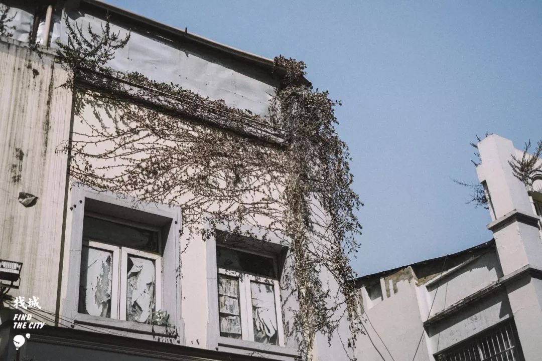 老南宁的三街两巷,老南宁的回忆照片