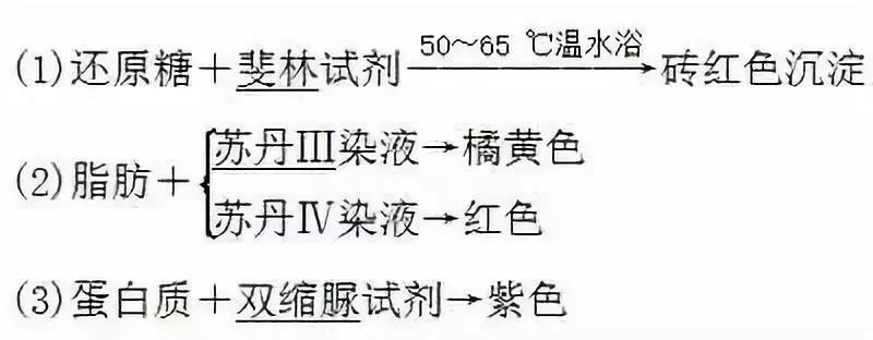 河南高中会考生物必背知识点,生物显微镜实验视频高中