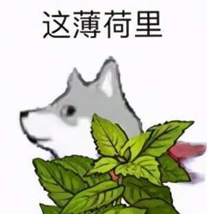 赴日留学各途径花费大揭秘,赴日本必买的东西