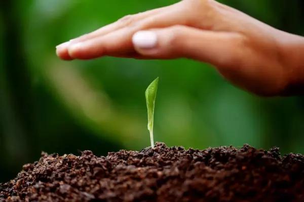 内膜薄病因,内膜厚根本原因