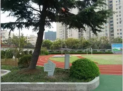 徐汇区好的学校排名,上海健康学院徐汇校区怎么样