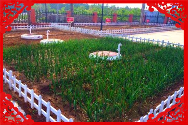 目前最适合的小本创业致富项目,目前最靠谱的创业副业赚钱项目