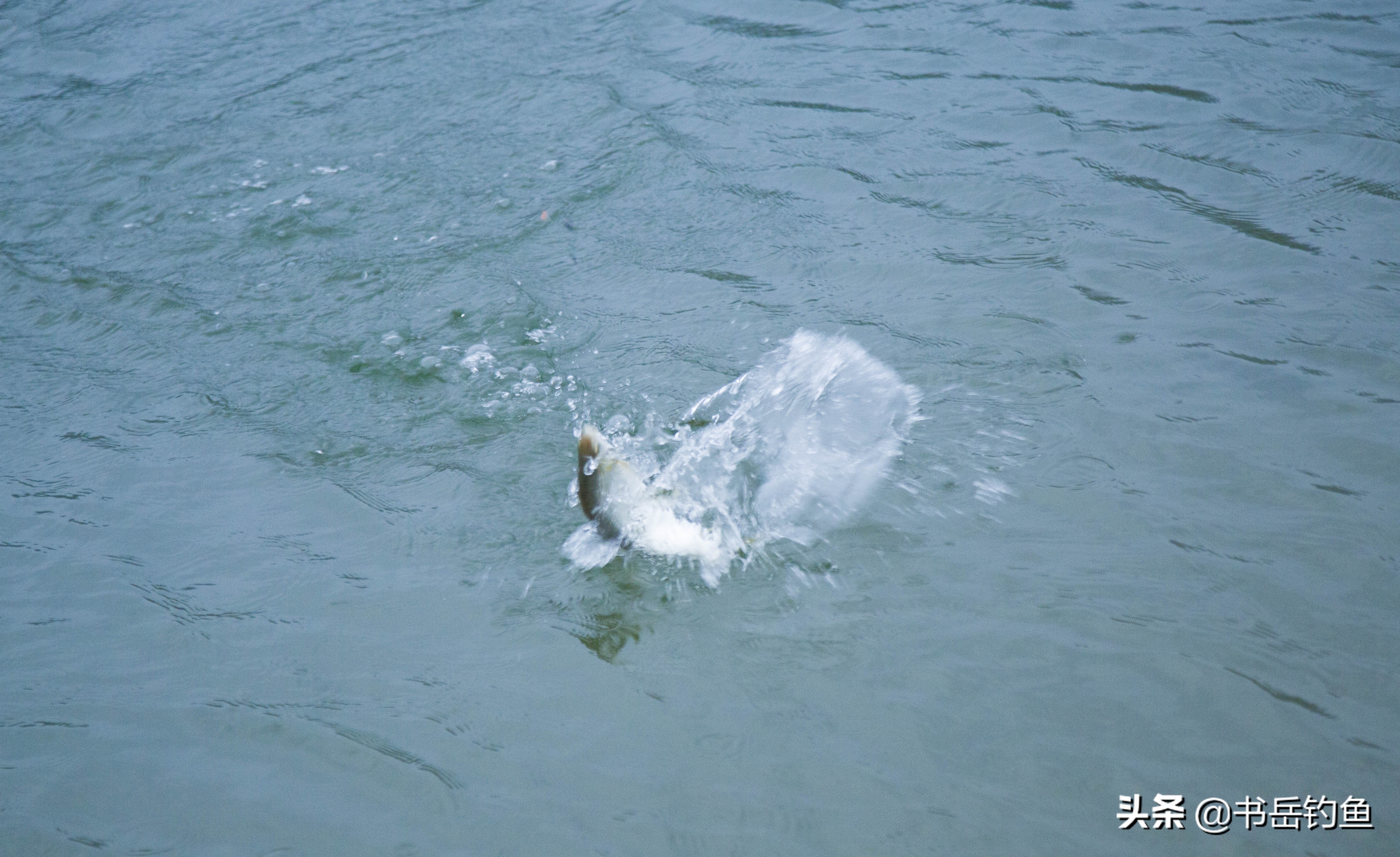 野钓小综合竿是软杆还是硬杆,硬竿和软竿哪个更适合野钓