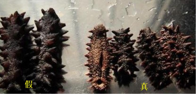 人造海参鉴别方法,人造海参鉴别