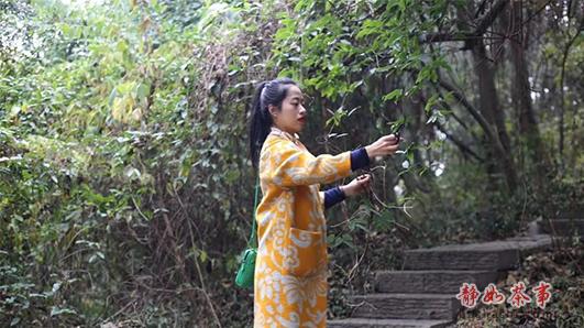 新年献词打油诗,新年献词七绝