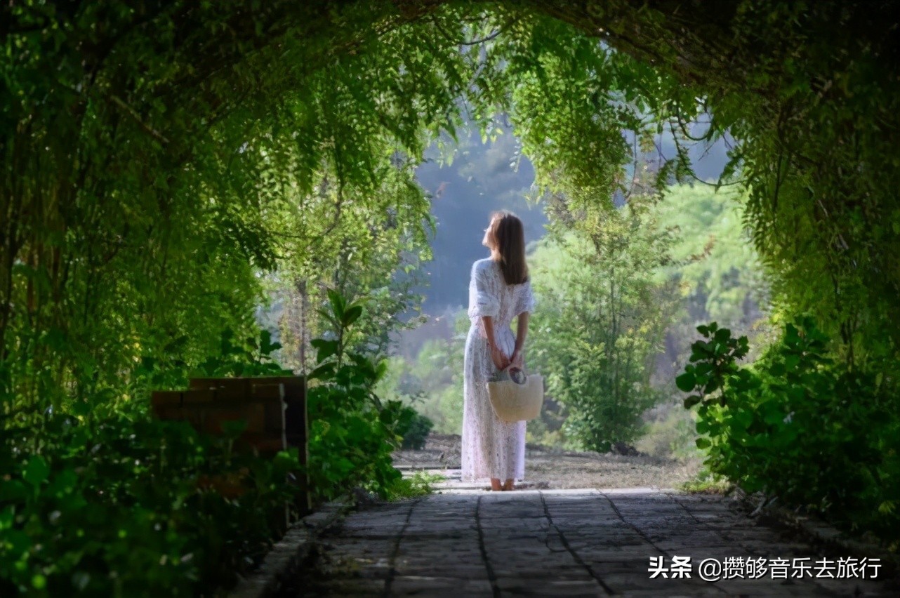 彭山网红打卡地南巷街,成都红枫岭网红打卡地