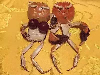 墨尔本捕蟹,墨尔本抓帝王蟹