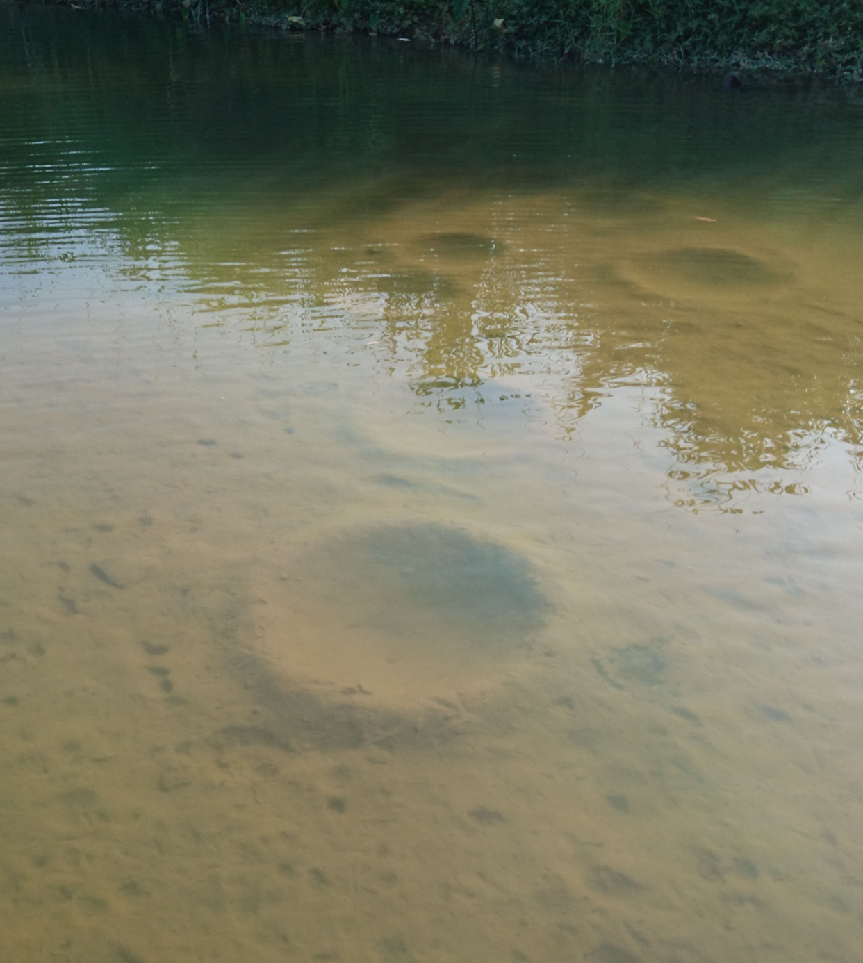 路亚各种钓法选哪个好,路亚入门路亚如何才能钓到鱼