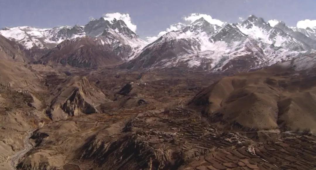 莫奈真正的美无需理解,莫奈的内心深度解析