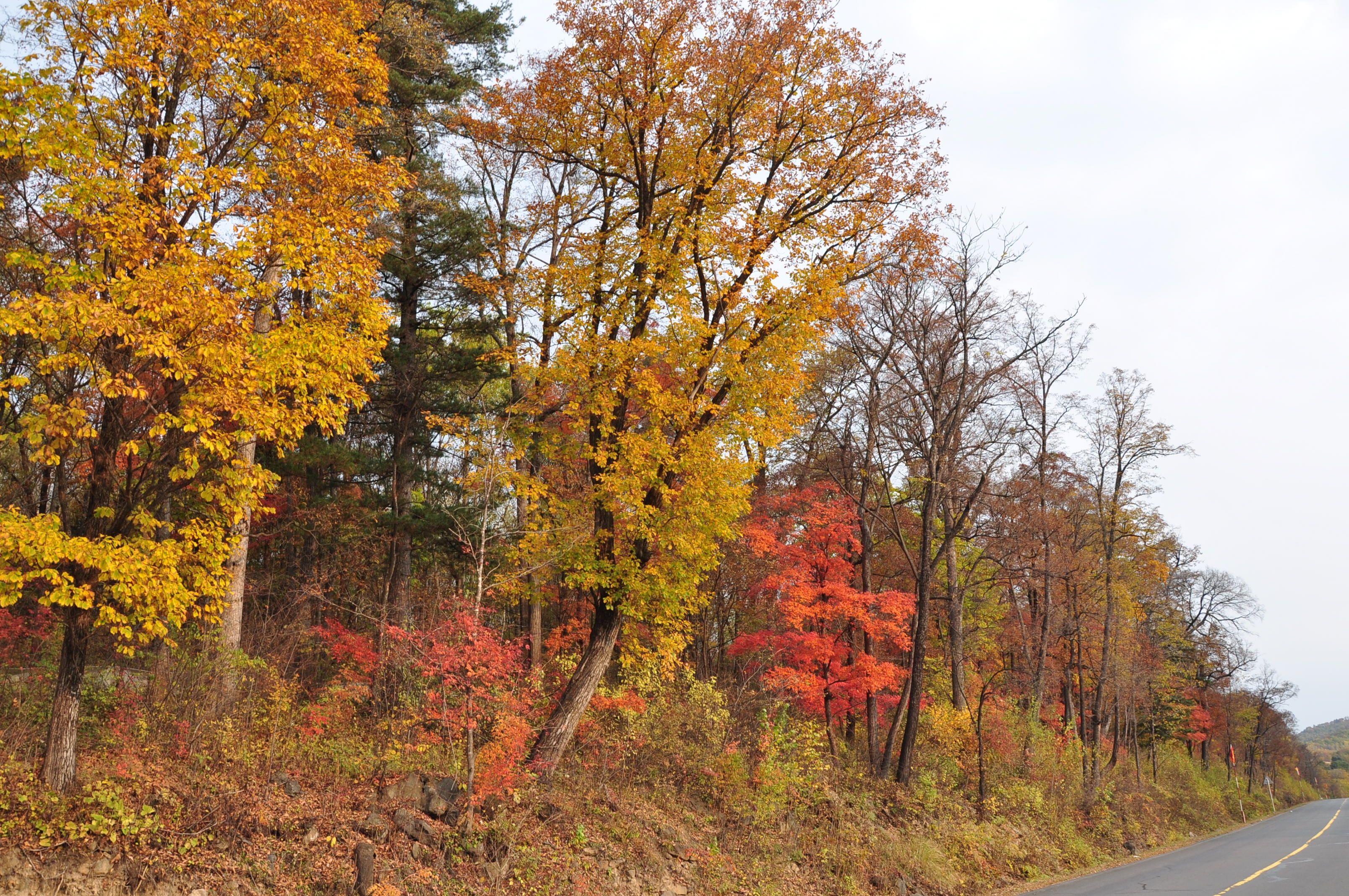 自驾西北行游记,我的西北边境自驾旅行日记