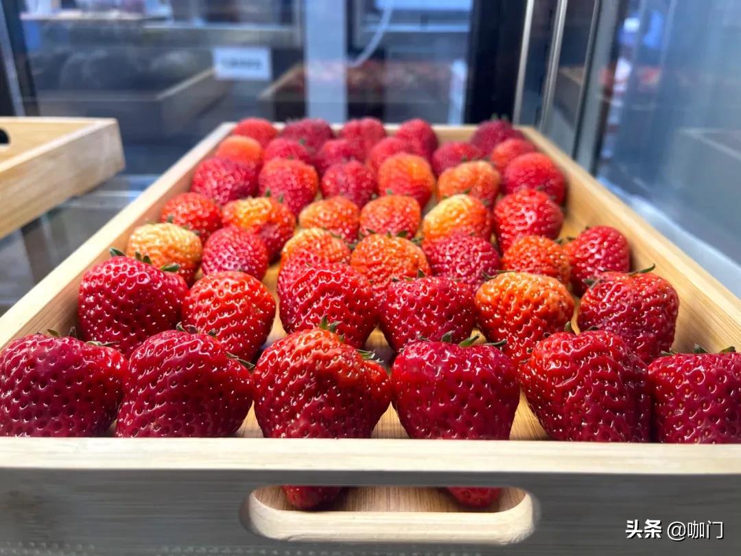 水果茶、奶盖茶、奶茶到底如何界定?奈雪牵头发布了一套行业标准