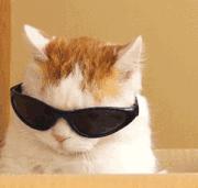 ppt制作教程每天学点ppt小技巧,干货ppt怎么做