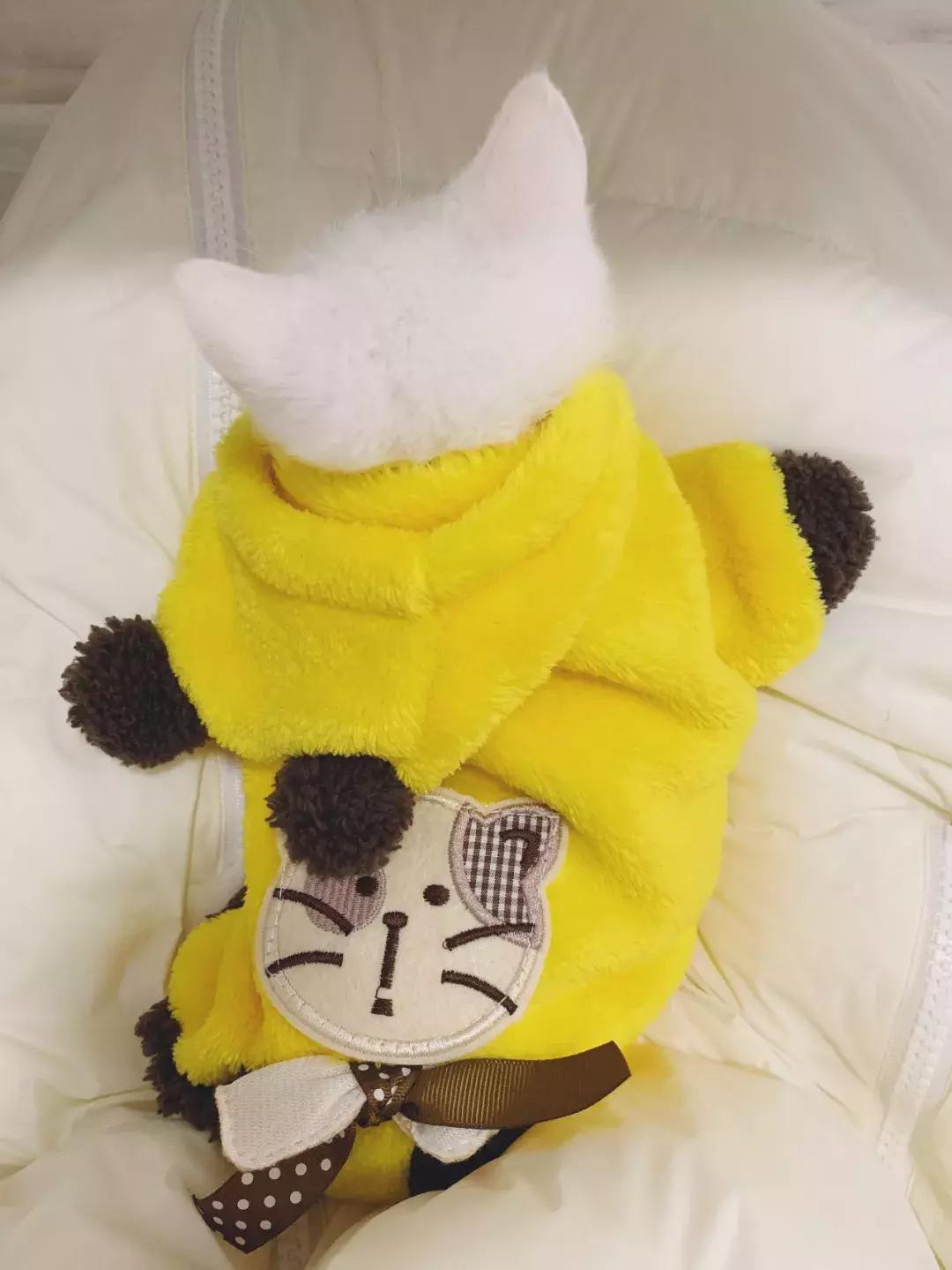 这年头钱难挣屎难吃话难听,钱难赚屎难吃电影台词