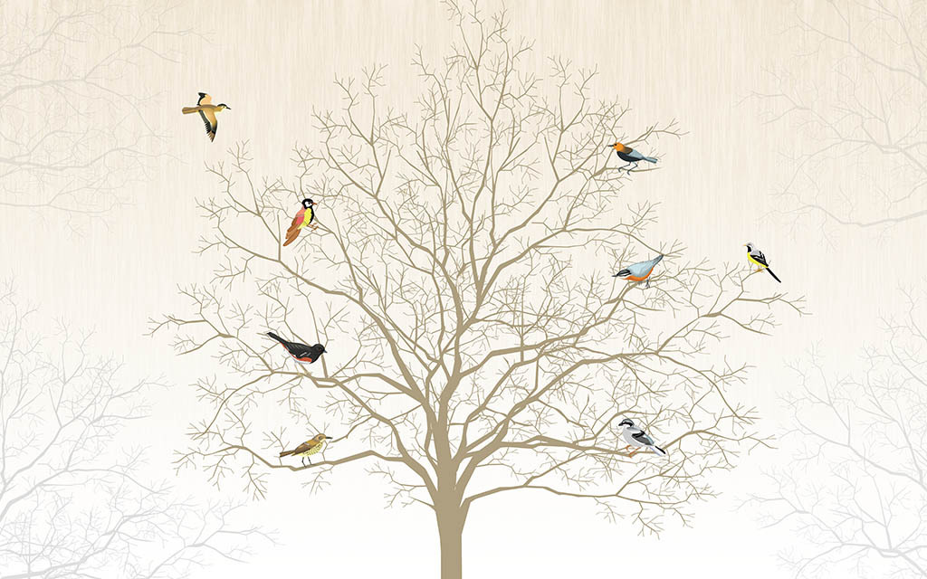 中考语文文学文化常识专题复习,语文文学必备常识书籍