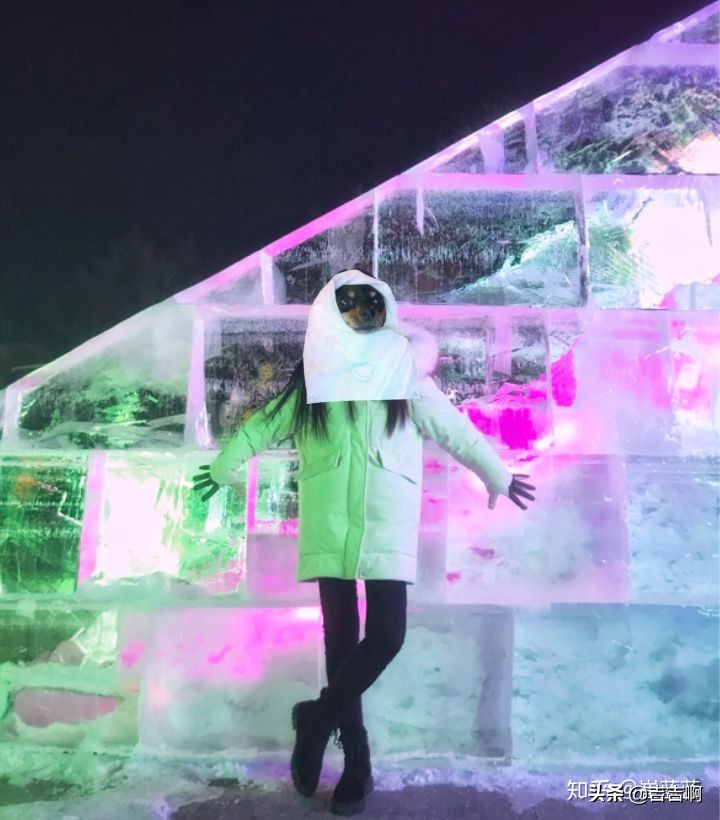 在东北吃饭是一种什么体验,跟东北人吃饭是什么体验