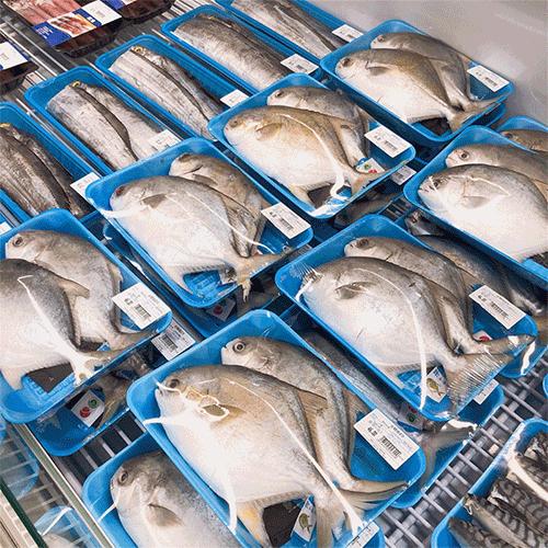 宁波江北山姆会员店必买攻略,山姆实体店入驻宁波