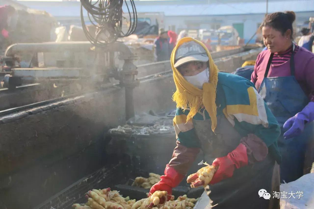他网上卖的生姜老外买了都说好，轻轻松松三百万