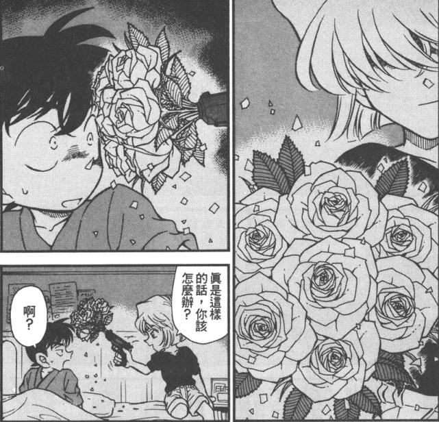 从零开始名侦探柯南,从零开始看柯南