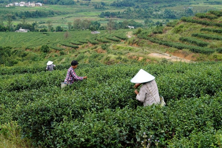 韶关善美直播,善美韶关现场直播活动