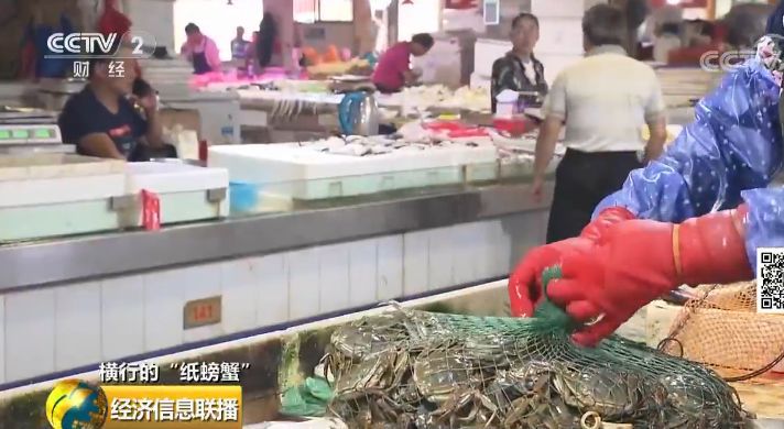 一只螃蟹没卖净赚100元,一只螃蟹没卖每张蟹券净赚100