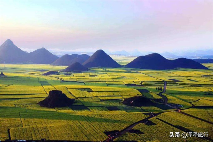 中国最美油菜花海汉中,中国最美油菜花海排名