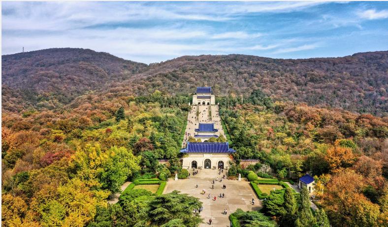 南京梧桐最美句子,一句梧桐美种遍整座南京城