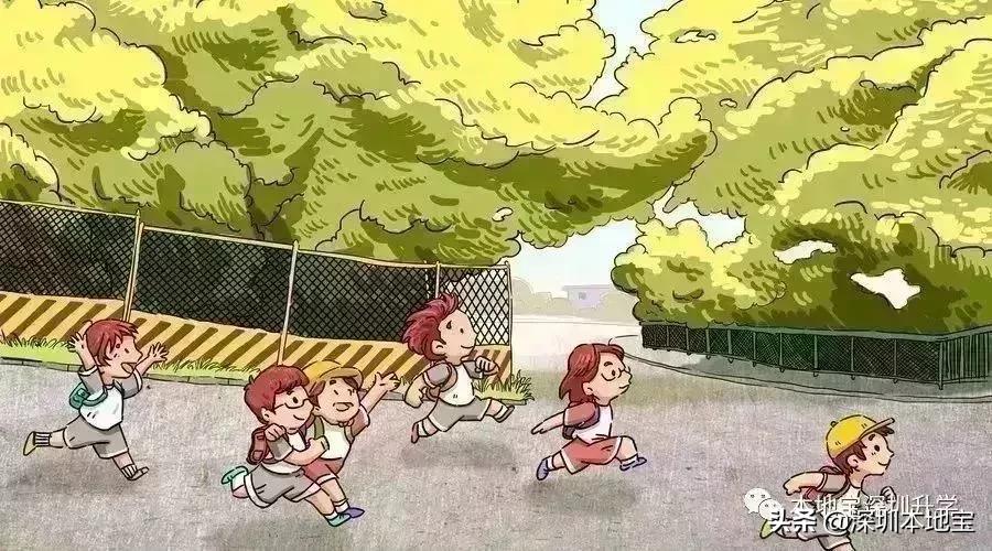 深圳市宝安区新建的公办学校,深圳宝安航城学校扩招