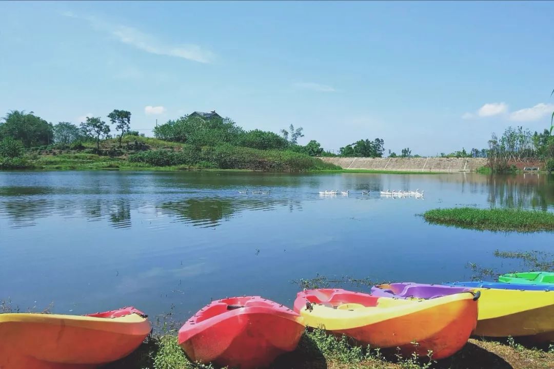 田园风光稻田帐篷,稻田星空露营基地