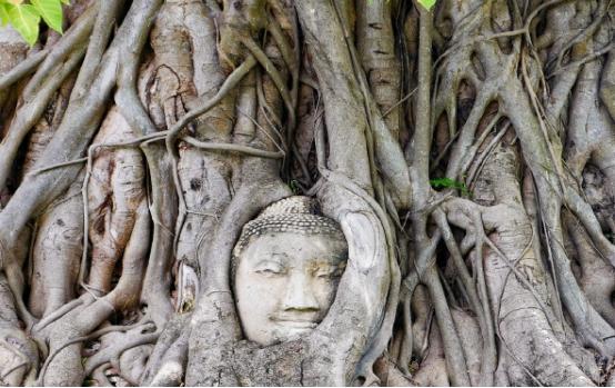 了解泰国真实的生活,泰国生活真实感受