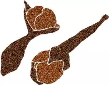 烹饪菜肴用的香辛料,料理必备调味料