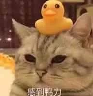 手机自带的音乐软件怎么删除,荣耀手机自带软件哪些可以删除