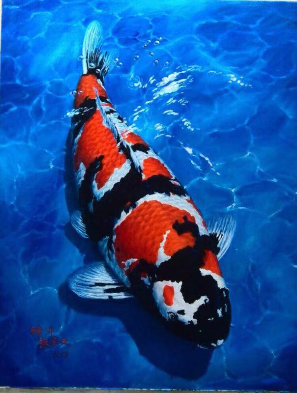 鱼缸养锦鲤鱼技术大全,缸养小锦鲤鱼的基本方法