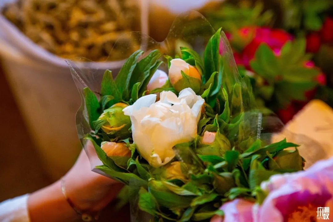 广州最便宜的花卉市场1块钱,广州岭南花卉市场买花攻略