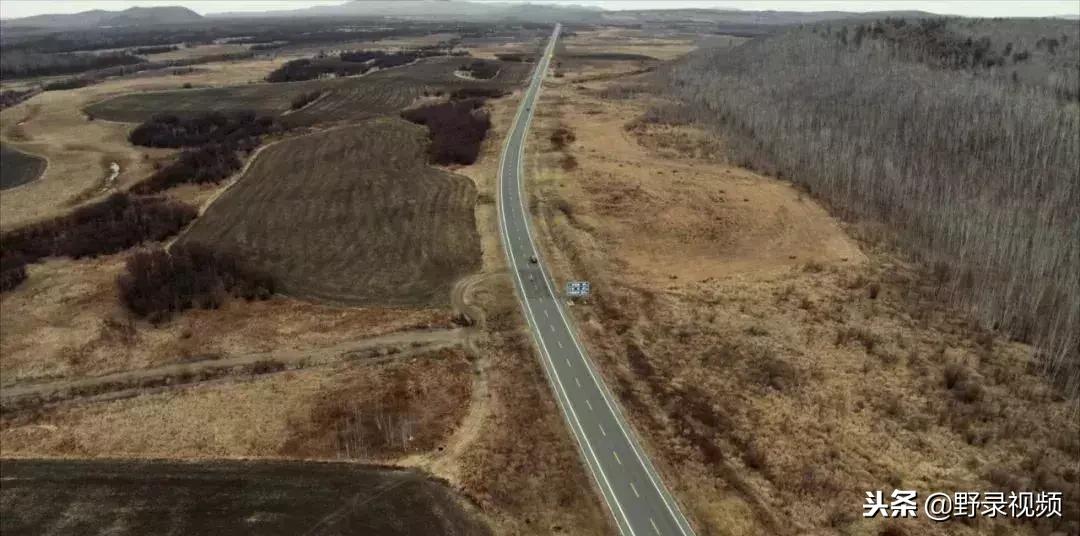 敖鲁古雅原始部落驯鹿喂草,敖鲁古雅驯鹿旅行