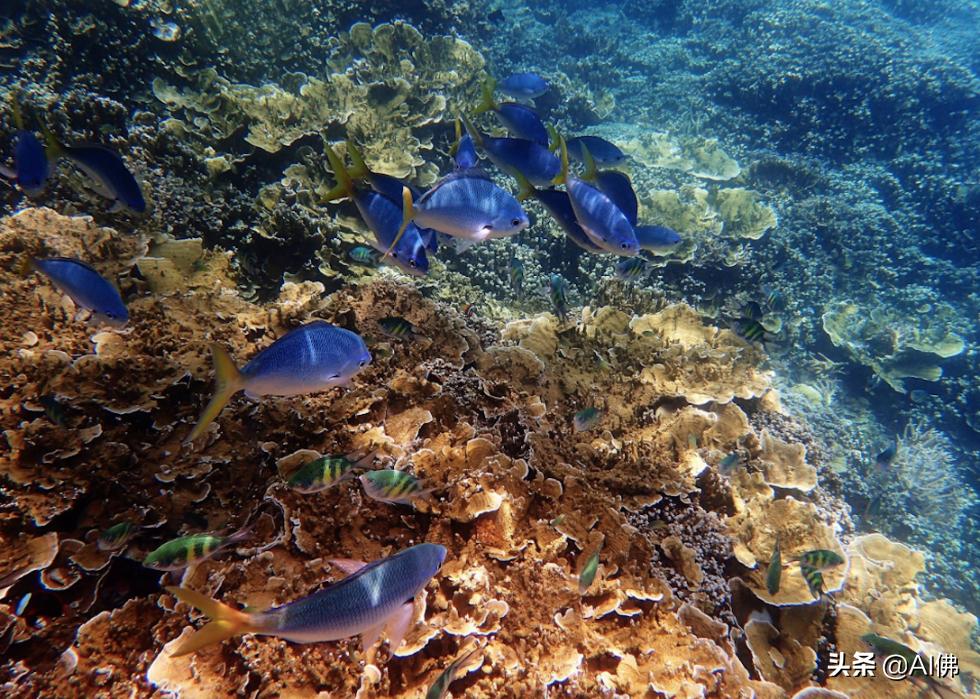 世界上最奇怪的海洋图片,世界各地的海洋照片