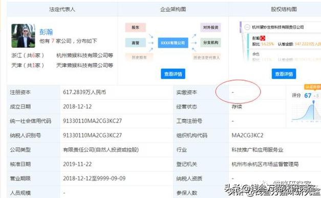 贵族猫粮和玫斯猫粮哪个好,玫斯猫全价猫粮和成年猫粮区别