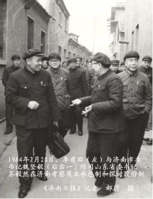 苏毅然是什么小说,苏毅然合集