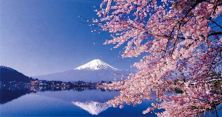 日本便利店卖不出的便利,日本便利店杂志可以买吗