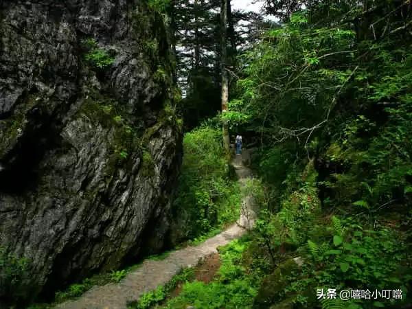 全国各地特产一览表,全国各地特产小吃一览表