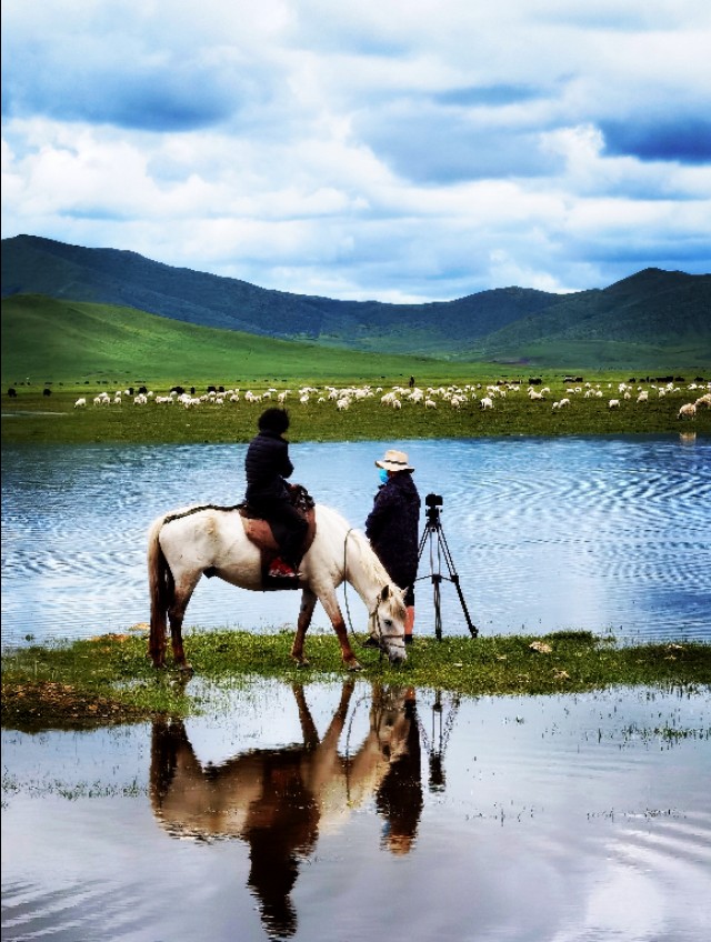 一条绝美草原之路,一条绝美的自驾公路