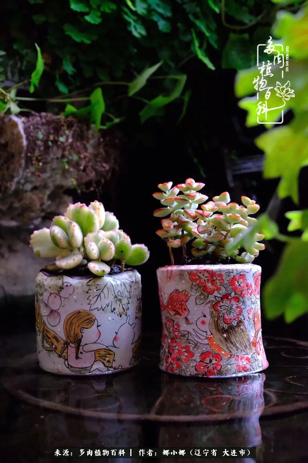 你是盆我是花，你护我周全，我为你绽放