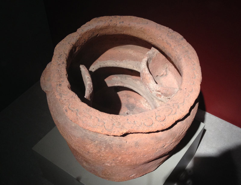 海狸尾巴与乌龟汤,海狸尾巴汤