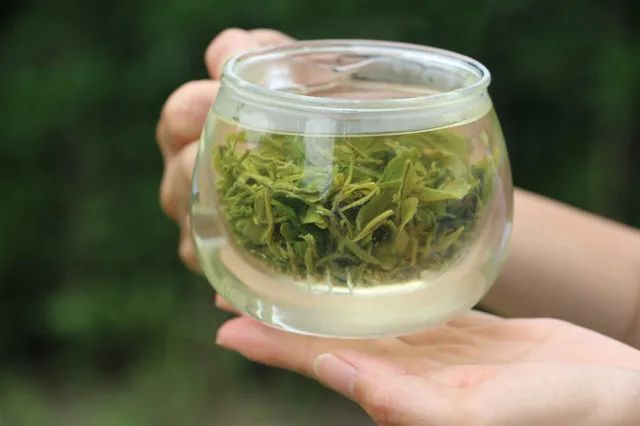 苏州的碧螺春,苏州碧螺春明前茶多少钱一斤