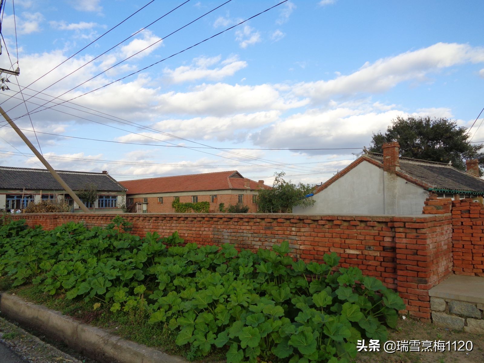 沈北新区依路村,沈北新区马刚乡地图