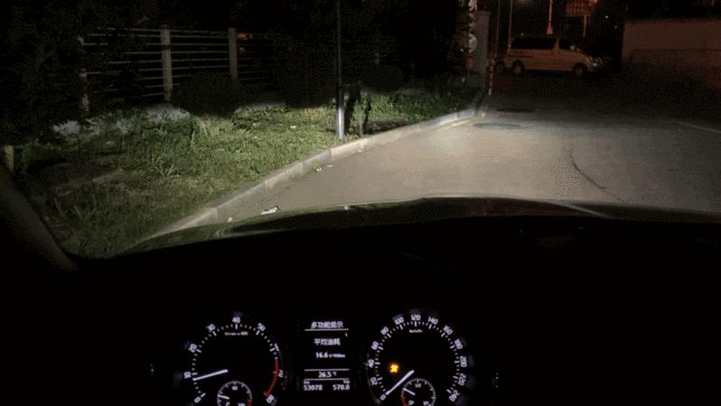 二手野帝价格坚挺,上海二手进口野帝2.0