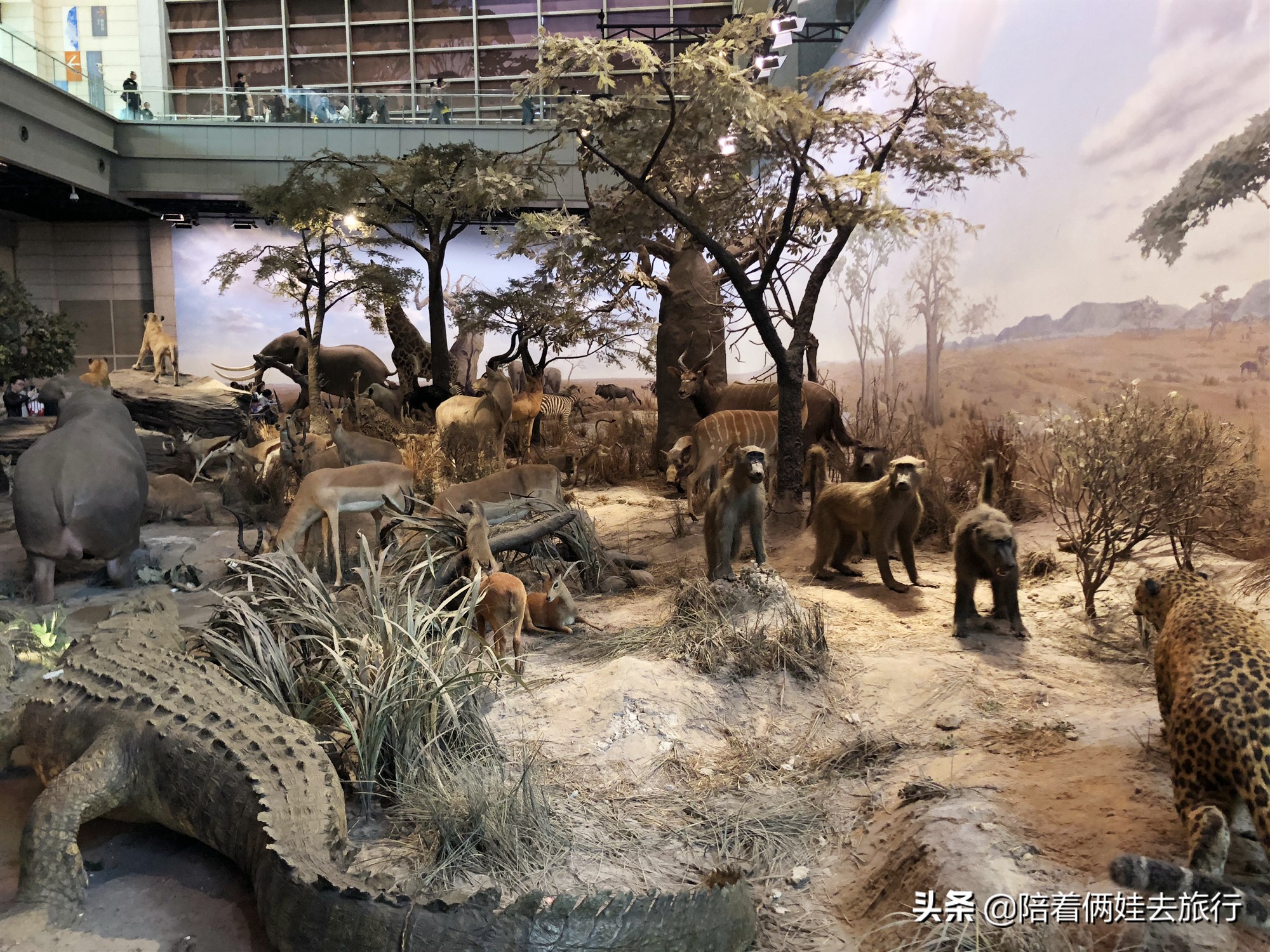 上海科技馆模拟太空飞船,上海科技馆科学营