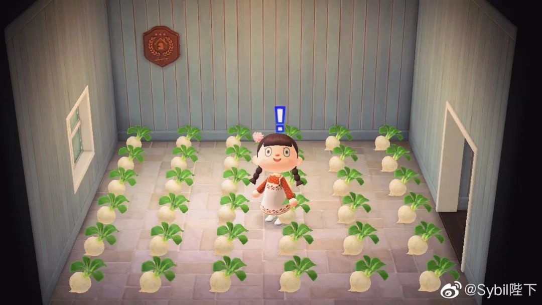 动物森友会种花赚钱,动物森友会如何种田