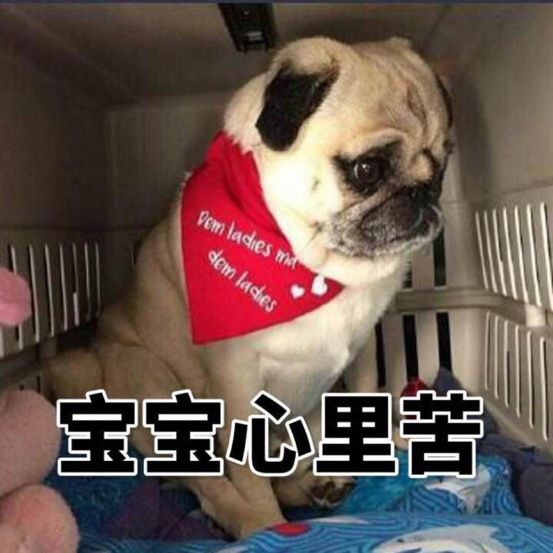 在家带孩子的家庭主妇怎么赚钱,在家带娃宝妈如何赚钱