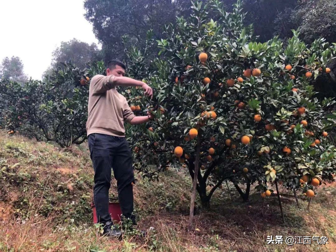 江西3月底气温骤降,江西连续六天高温天气